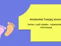 Anatomia Twojej strony: footer, czyli stopka - najważniejsze informacje. Dwie kolorowe stópki symbolizują fundamenty strony.