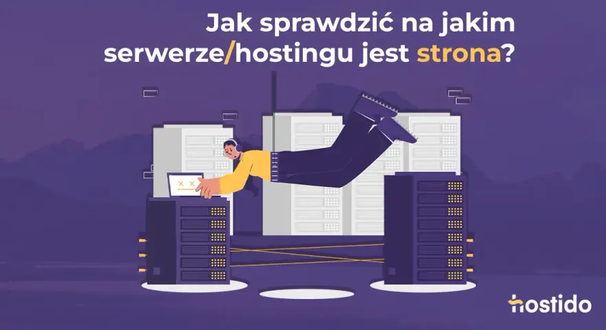 Jak sprawdzić hosting domeny? Szybkie metody i triki eksperta