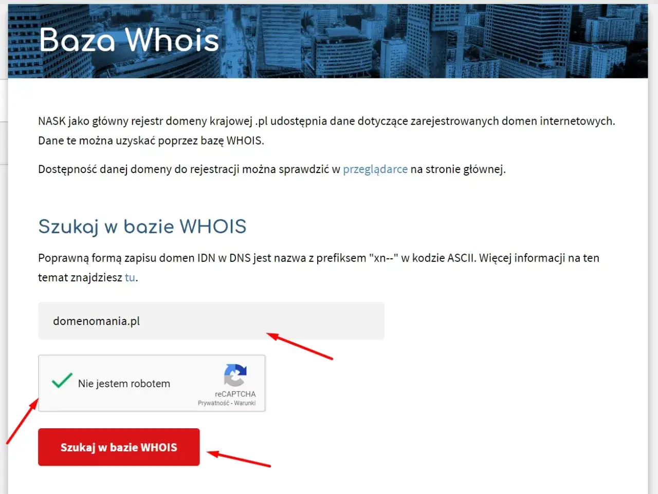 Wyszukiwarka domen .pl. Sprawdź, kto jest właścicielem domeny, wpisując jej nazwę.